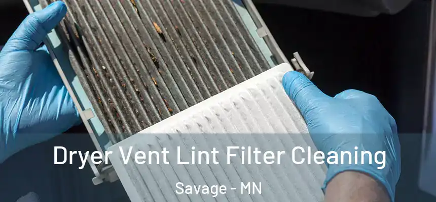  Dryer Vent Lint Filter Cleaning Savage - MN