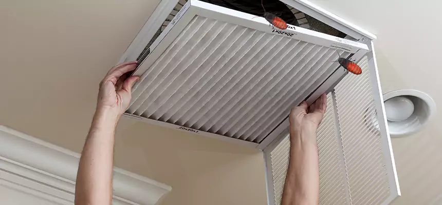 Preventive Cockroach-Proofing for Ducts in Savage