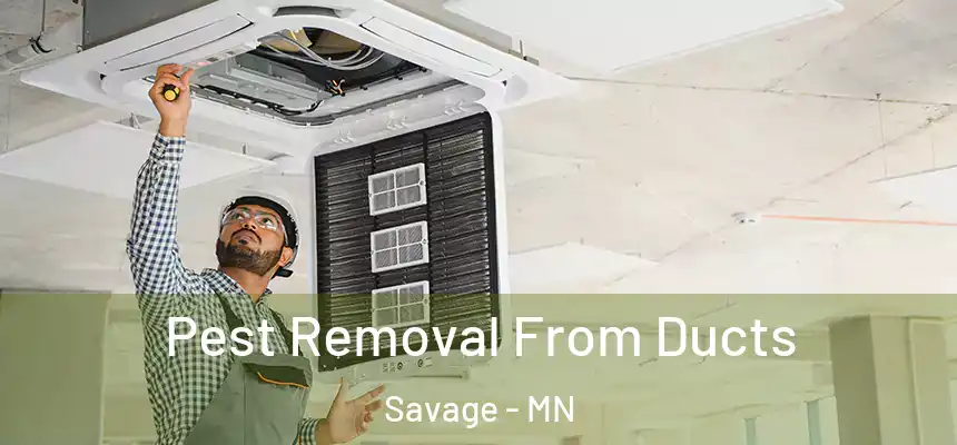  Pest Removal From Ducts Savage - MN