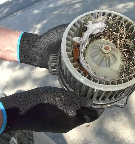 About Air Duct Mice Removal in Savage, MN