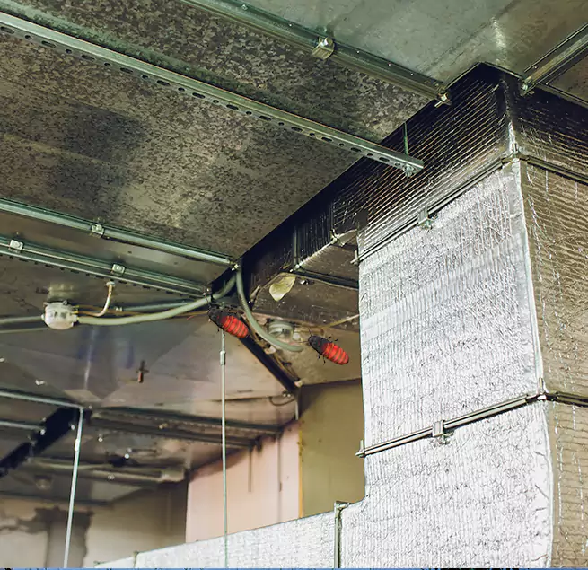 Why Homeowners & Businesses Trust Us in Savage, MN?