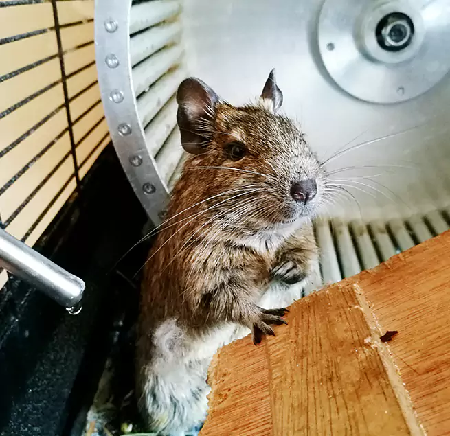 Why Homeowners & Businesses Trust Us Savage, MN?